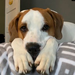 Meet your Posher, Karie